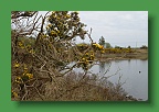 Connemara (177)